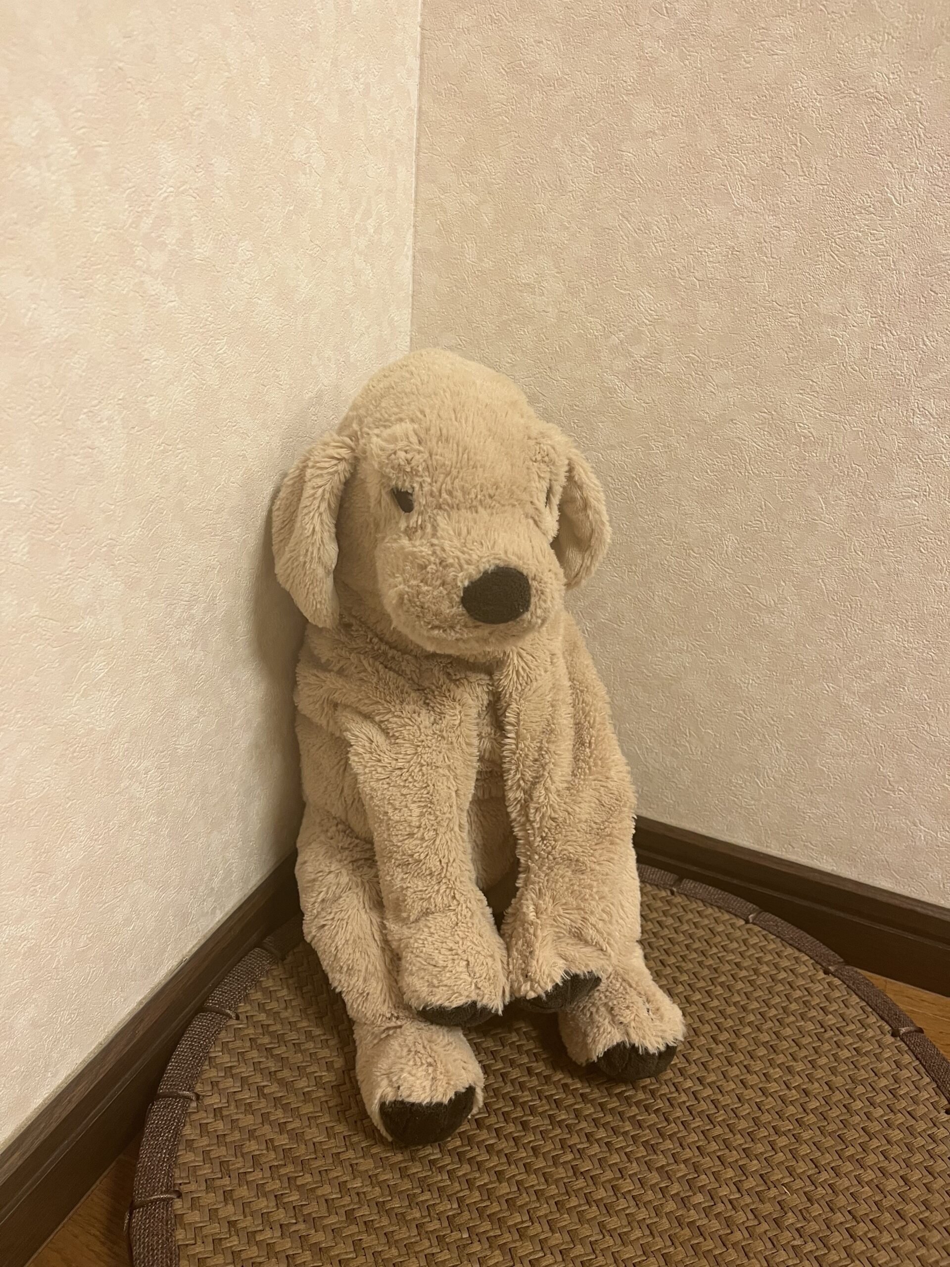 ピアノのへやの看板犬